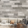 Mureto Gris - Imagen 2