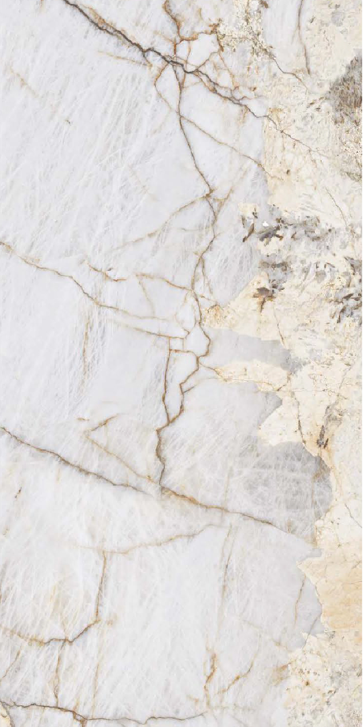 Porcelanato Patagonia Bianco