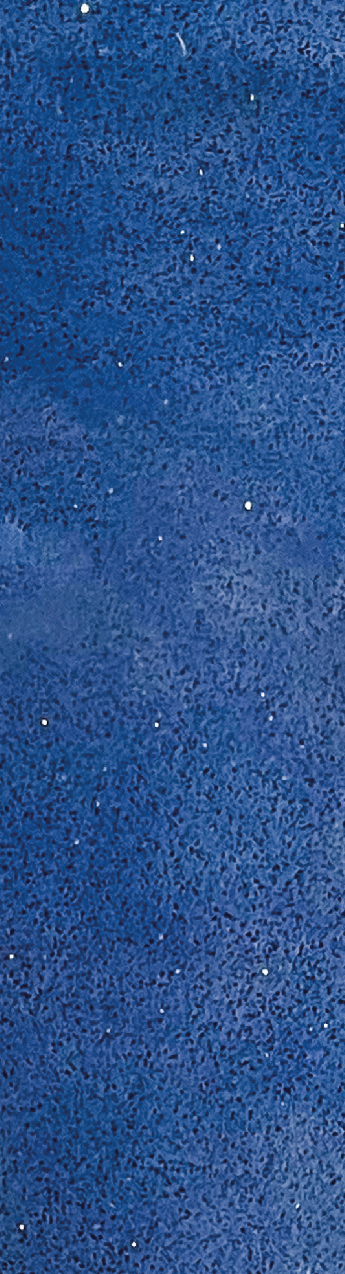 Cuarzo Crystal Blue